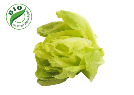 Image de Laitue verte - (300g)