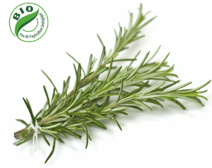 Image de Romarin - (100g)